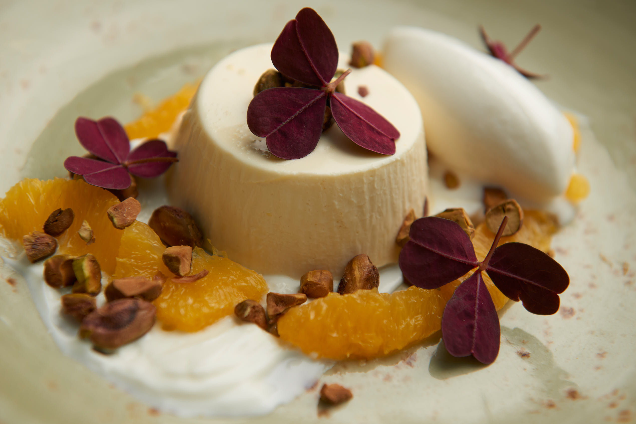 Vanilla pudding with clementine photo by Marcel Tiedje